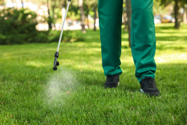 Best Cockroach Control Services  in Gunnison, UT