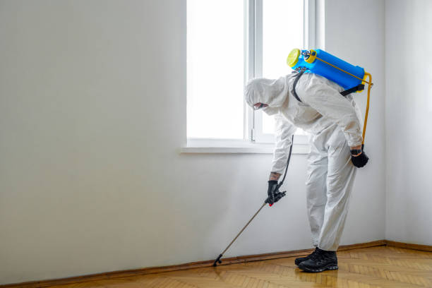 Best Wasp Removal Services  in Gunnison, UT