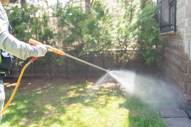 Best Wasp Removal Services  in Gunnison, UT