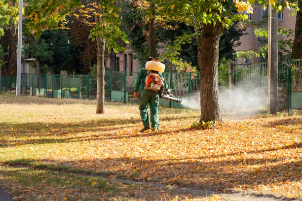 Best Local Pest Control Services  in Gunnison, UT