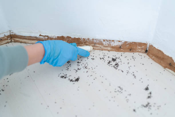 Best Ant Control Services  in Gunnison, UT