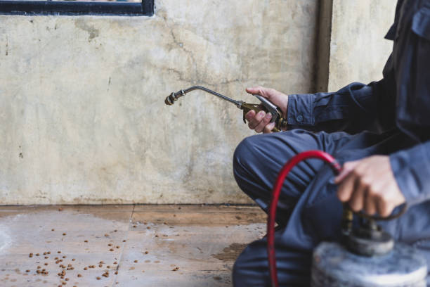 Best Best Pest Control Companies  in Gunnison, UT