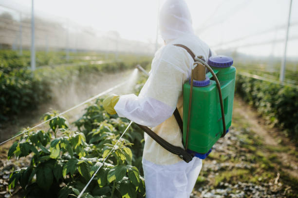 Best Termite Control Services  in Gunnison, UT